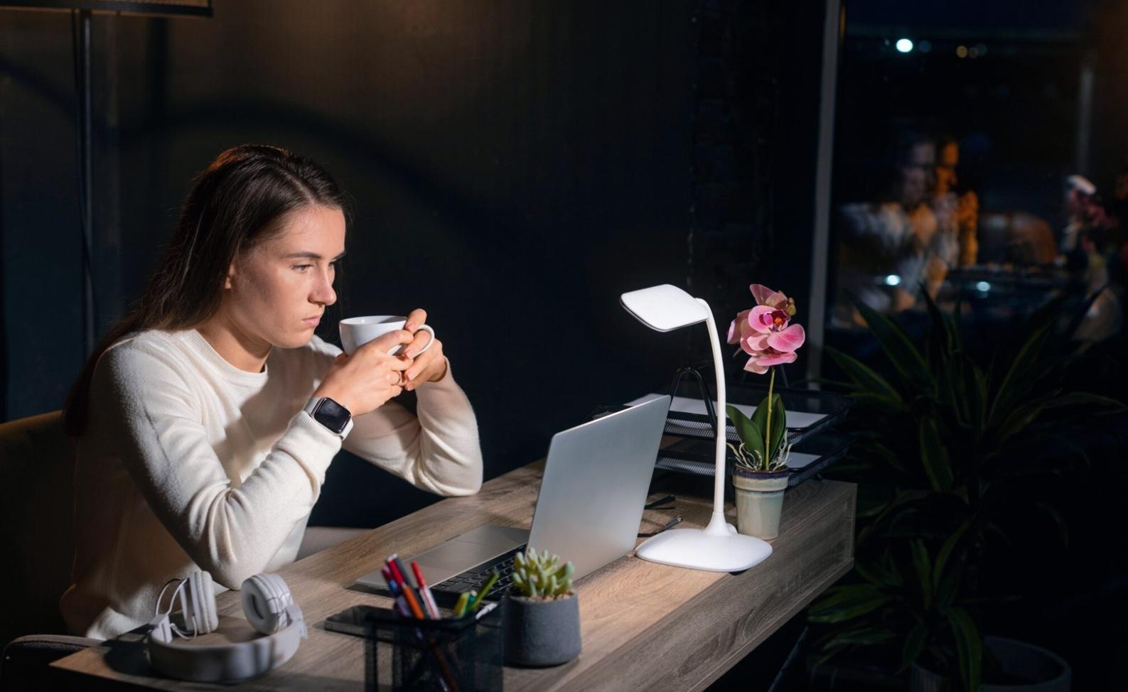 Kundengespräche und gemeinsame Lösungsfindung